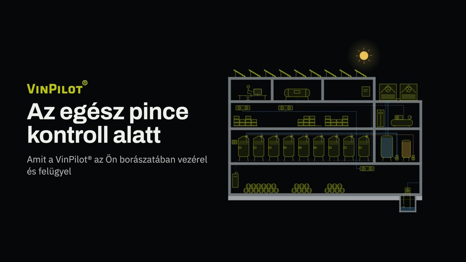 Az egész pince kontroll alatt című film borítóképe